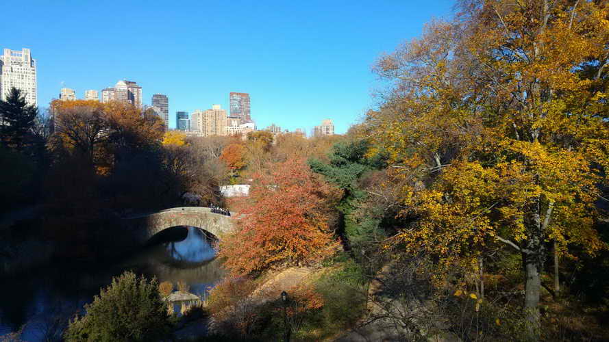 NYC_2017-11-23 10-05-32_CELL_20171123_100532